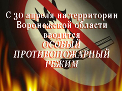 В городе установилась высокая степень пожарной опасности