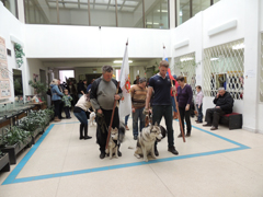 В КДЦ «Северный» прошла выставка собак