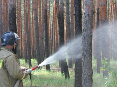 Сбережем лес от пожара!