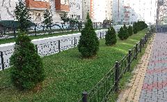 В Коминтерновском районе подвели итоги конкурса на лучшее благоустройство и содержание территорий В Коминтерновском районе подвели итоги конкурса на лучшее благоустройство и содержание территорий