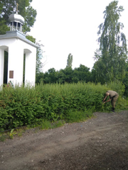 В Железнодорожном районе приводят в порядок воинские захоронения В Железнодорожном районе приводят в порядок воинские захоронения