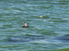 В воронежском водохранилище утонул подросток