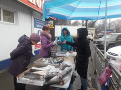 В Воронеже проходя рейды по ликвидации несанкционированной торговли