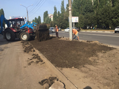 В Коминтерновском районе проходит масштабное устройство газонов В Коминтерновском районе проходит масштабное устройство газонов