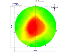 Завершено обследование деревьев на Кольцовском бульваре