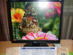 Очередной интернет-урок прошёл в библиотеке №37 им.В.А.Добрякова