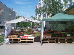 В Железнодорожном районе продолжается борьба с несанкционированной торговлей В Железнодорожном районе продолжается борьба с несанкционированной торговлей