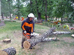 Спасателями Воронежа устраняются последствия урагана