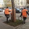 В Ленинском районе приступили к защите стволов деревьев