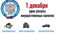 1 декабря наступает срок оплаты имущественных налогов физических лиц 1 декабря наступает срок оплаты имущественных налогов физических лиц
