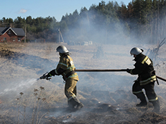 По сравнению с прошлым годом количество ландшафтных пожаров в регионе возросло в 4 раза