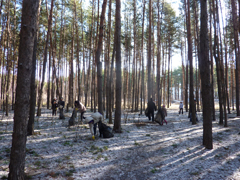 В Коминтерновском районе прошел субботник