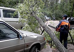 11 сентября поисково-спасательный отряд убрал 17 деревьев, пострадавших от шквалистого ветра